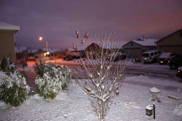 The neighborhood.