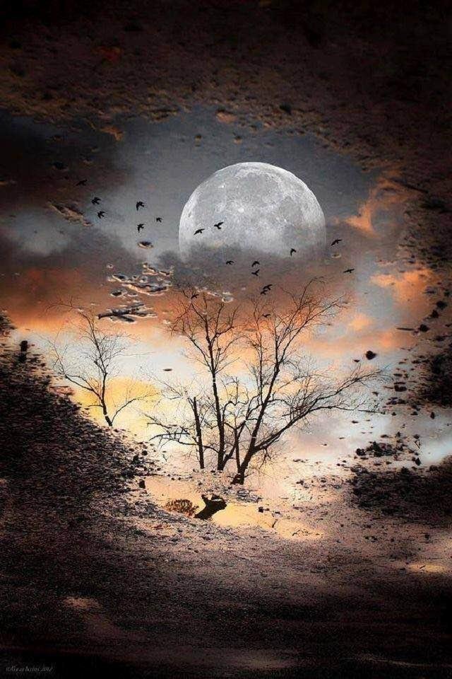 John Gabriel's album, Timeline Photos