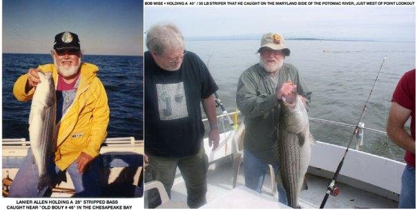 THE PIX ON THE LEFT IS LANIER HOLDING A 28 INCH STRIPED BASS THAT HE CAUGHT NEAR OLD BOUY #46 IN THE CHESAPEAKE BAY IN ABOUT OCT 2000.
THE PIX ON THE RIGHT IS LANIER'S GOOD FRIEND, BOB WISE, HOLDING A 45" / 35 LB STRIPER,