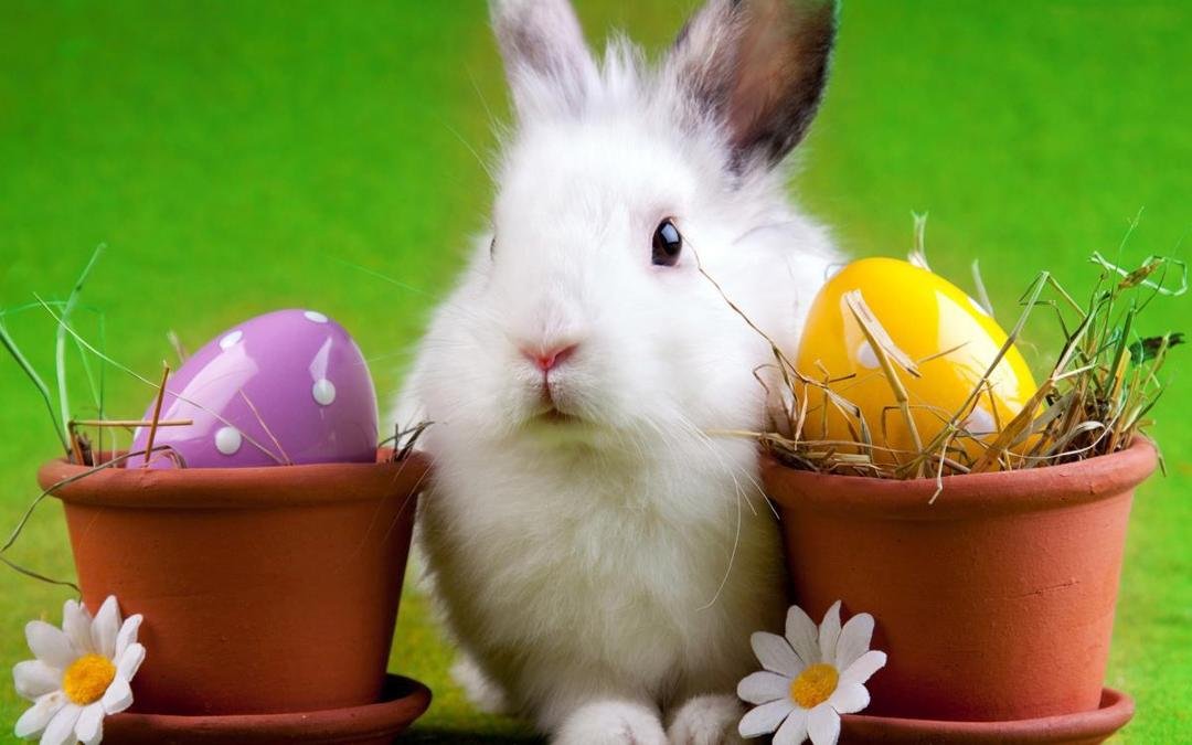 Wishing everyone a very blessed Easter...