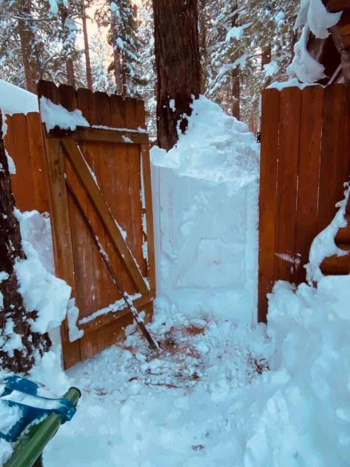 Shoveled to the propane’s yard gate and when the gate was opened, guess what, almost five feet of drifted snow.