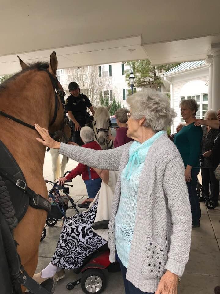 Mama petting the horses at the Chili cook off at Brookdale yesterday.