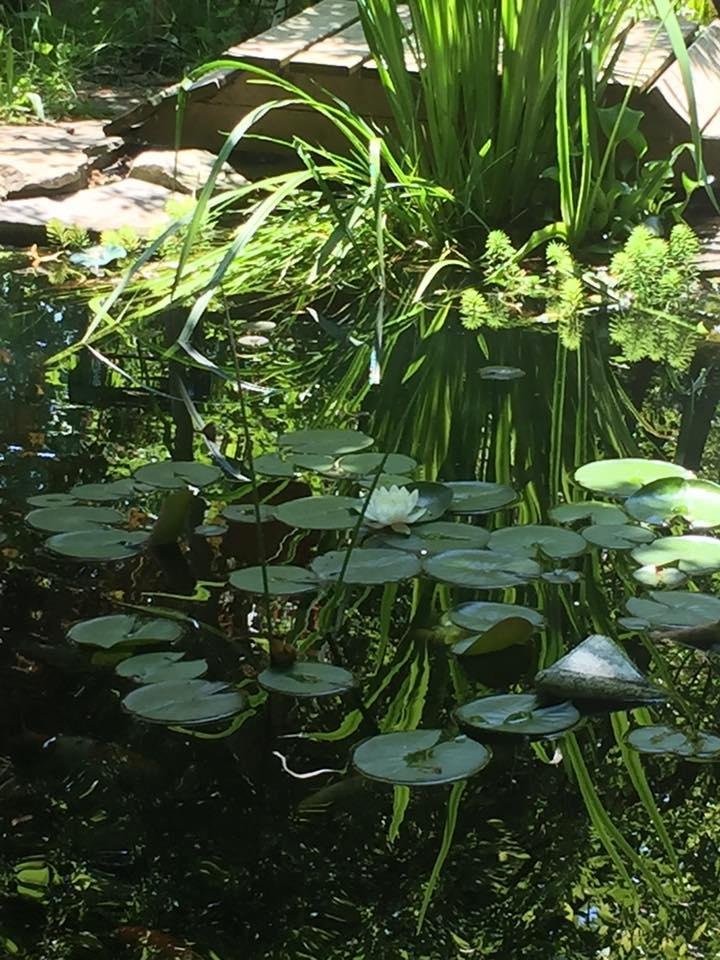 Keith Tarnawski's album, Mobile Uploads