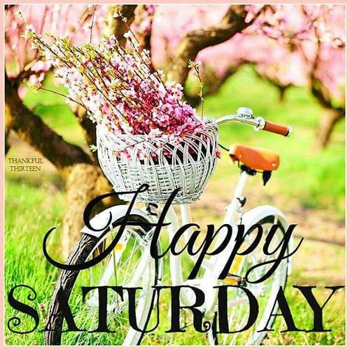 Tracy Leopold's album, Timeline Photos