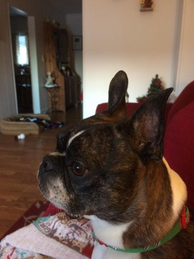 Nancy Zepp's album, iOS Photos