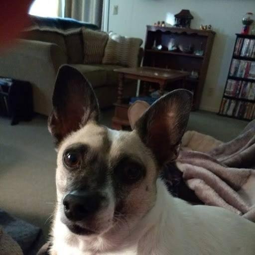 Michael Clark's album, Timeline Photos
