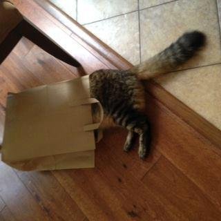 Kathy Owsinski's album, Timeline Photos