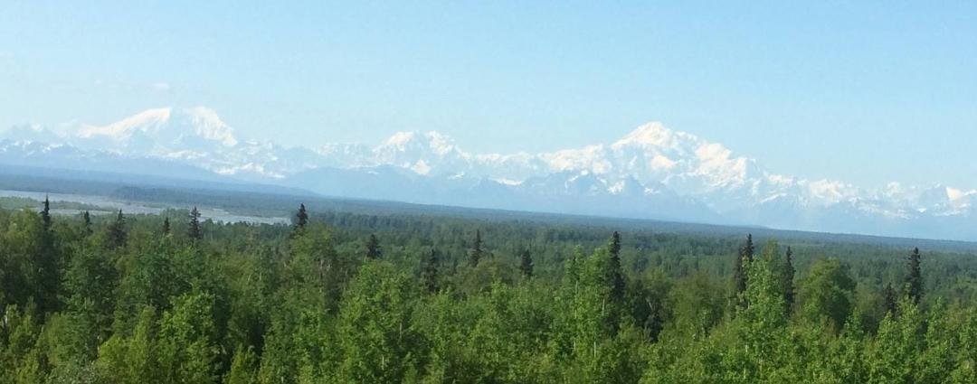 Denali greeted us today. Been told the peak is only seen less than 30 days a year we are feeling lucky. Maybe next stop should be Vegas.