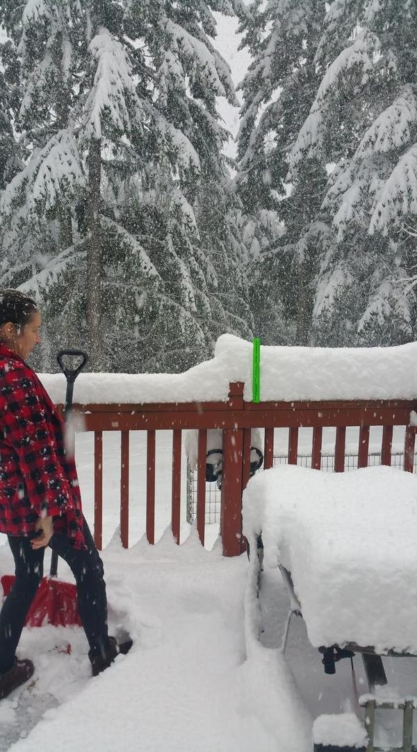 11 inches where we did not knock the snow off the rail.