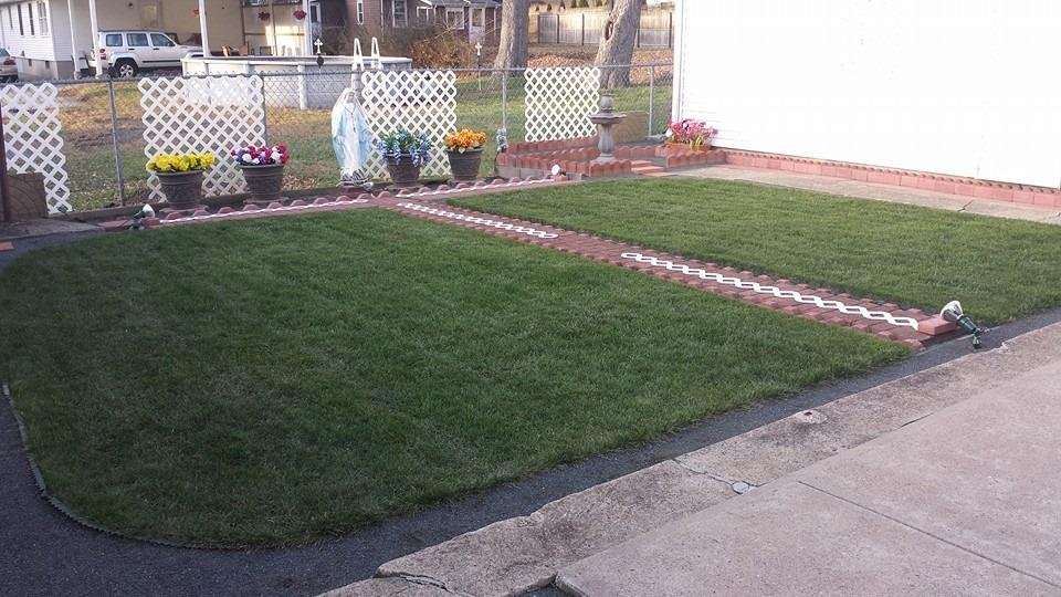 Mike's back yard