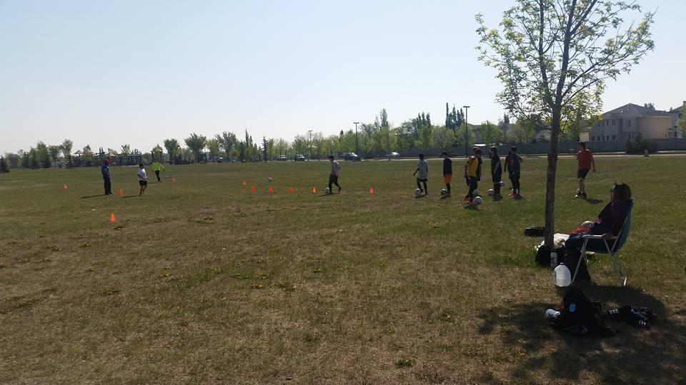 Early morning soccer practice. 10 of 20 boys showed up . You would have thought that they won 20-5 rather than the other way around .