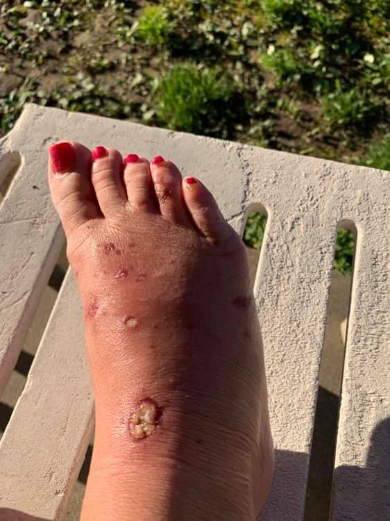 Janet Holmes' album, Mobile Uploads