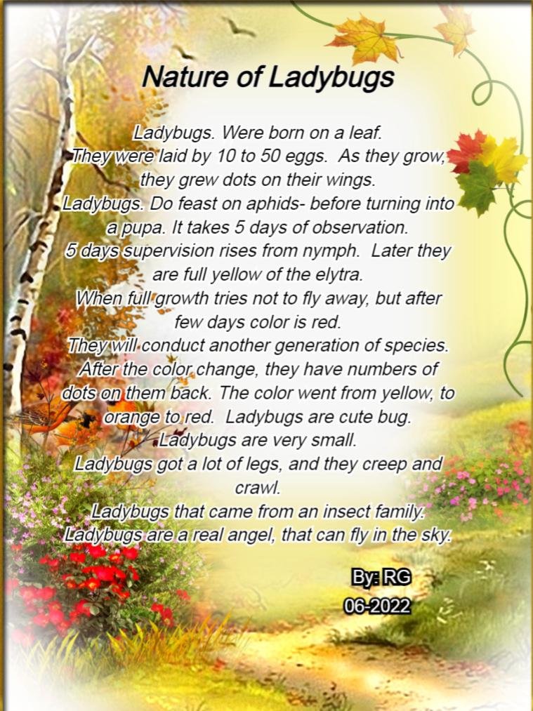 Rose Gallagher's album, poems
