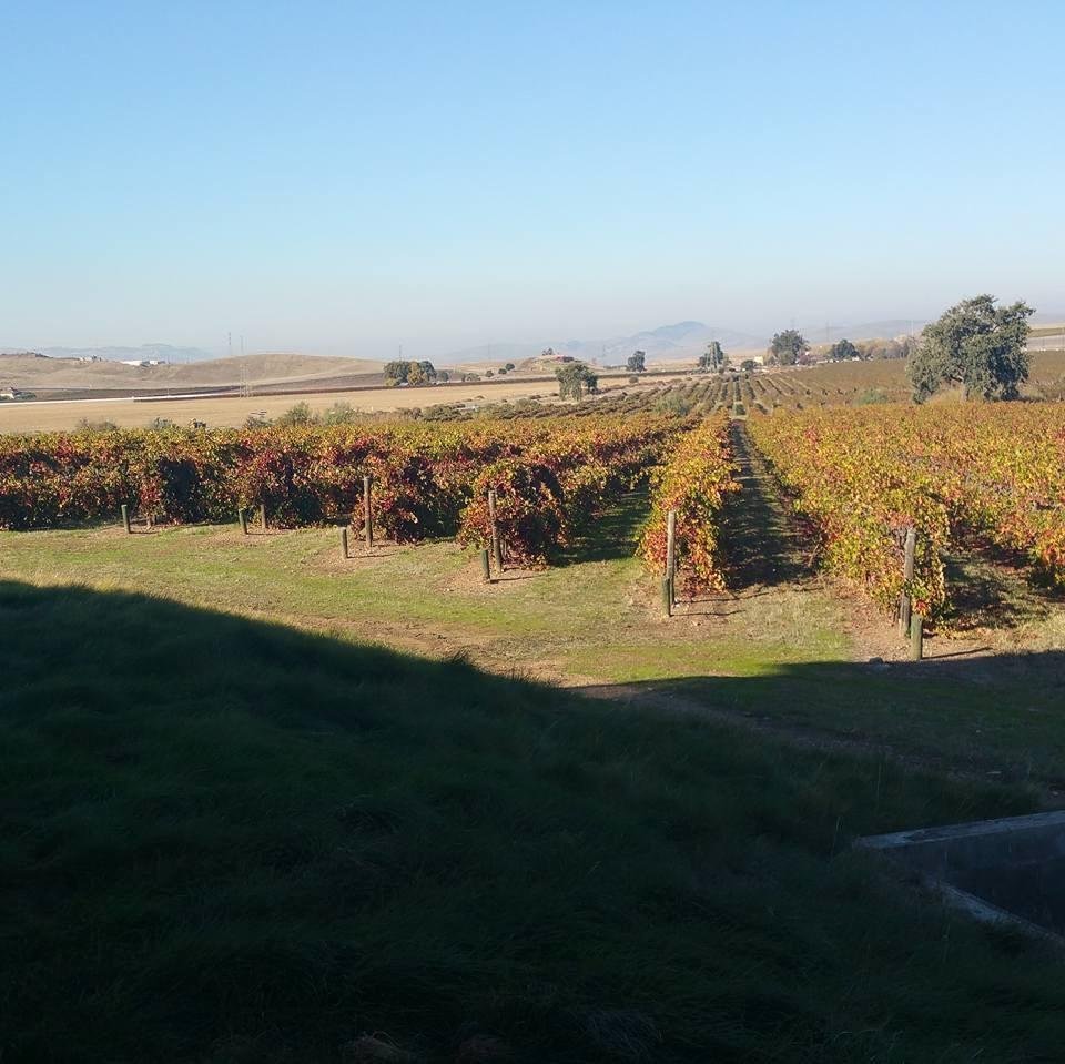 Fall in Northern California! Eat your heart out East Coast.