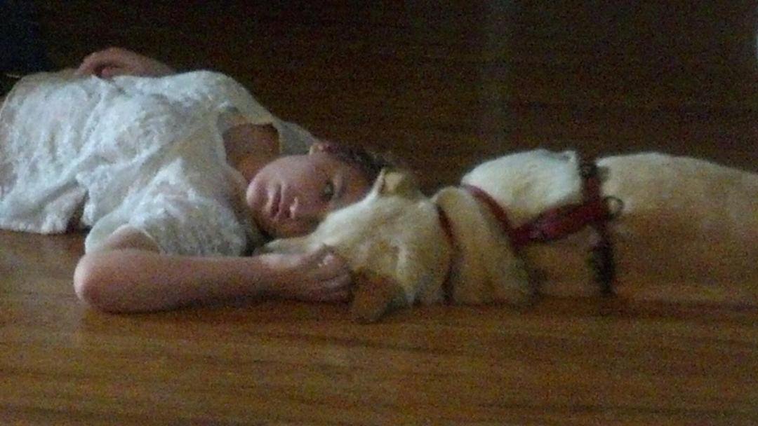 A tired, tired recuperating competitive CHEER Performer... or is it? (thinking maybe just likes dogs.) :-P