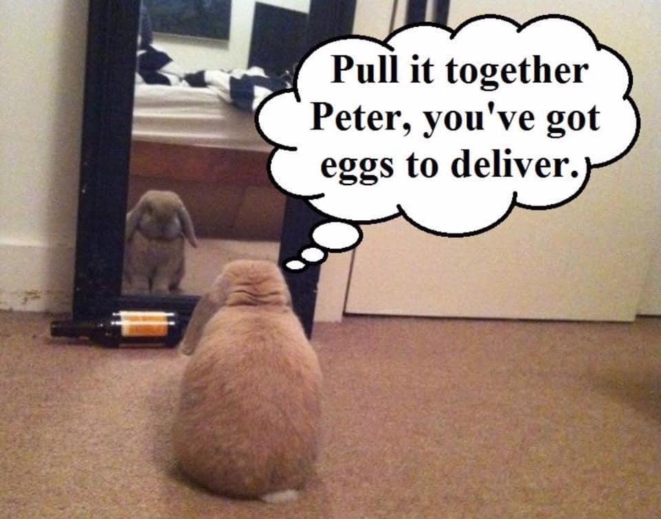 Happy Easter!