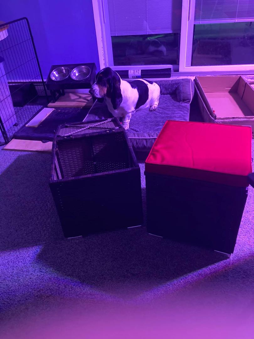 Two outdoor ottomans
Why does the first one (100 screws!) take one hour and forty five minutes and the second one fifteen minutes????
Asking for a friend lol
Some exaggeration on the time frame and screws