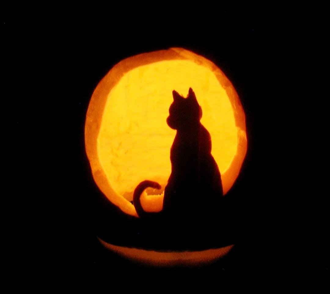 First time I have carved a pumpkin in many, many years!