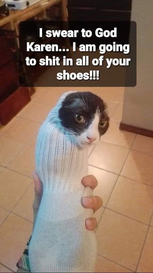 Lol