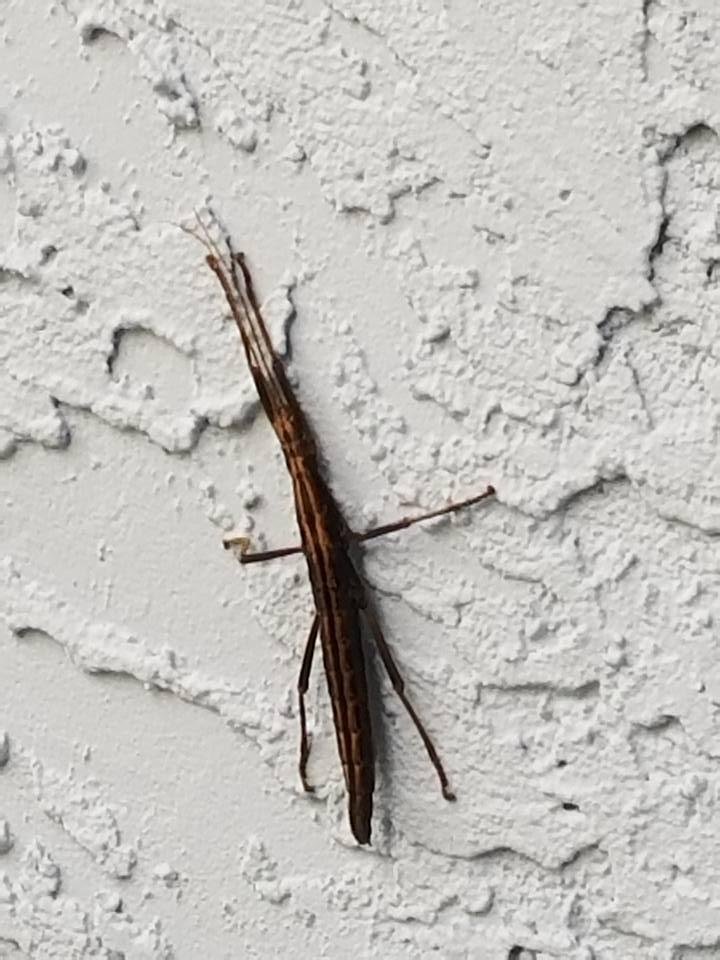 What is this?