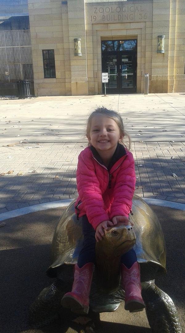 Her golden turtle.