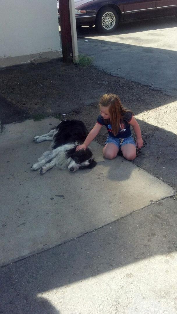 Theresa and those animals