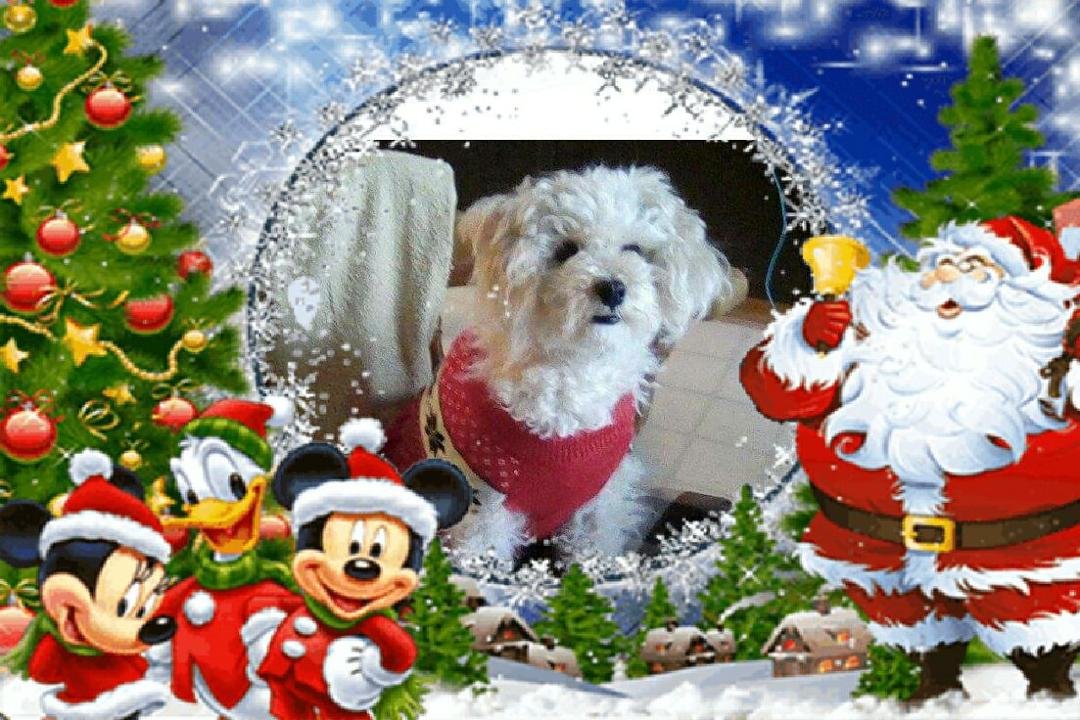 our Miss ISSY