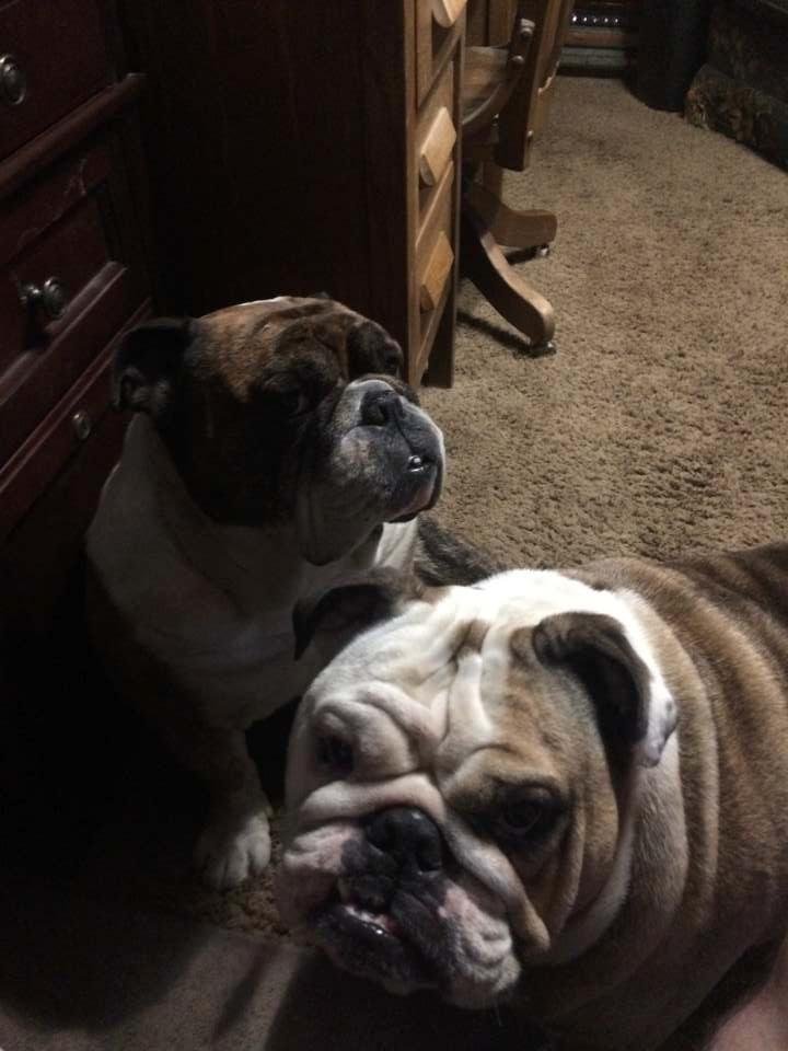 Robert (Bob) Dunlap's album, Mobile Uploads