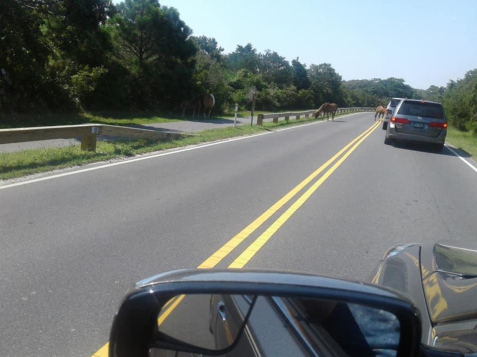 Lawrence Driver's album, Mobile Uploads