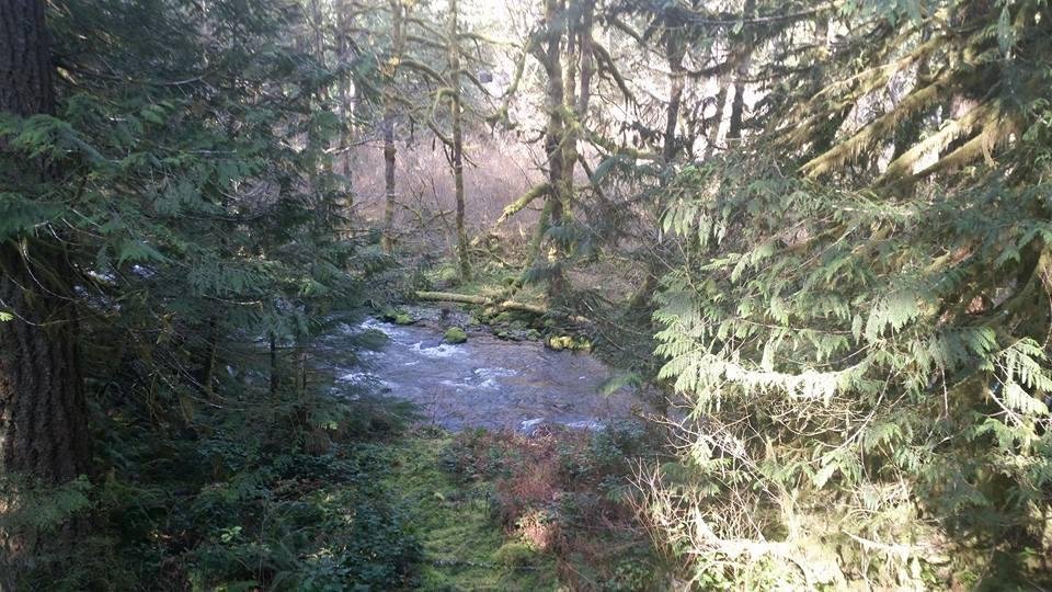 My view this morning.  #lifeisgood