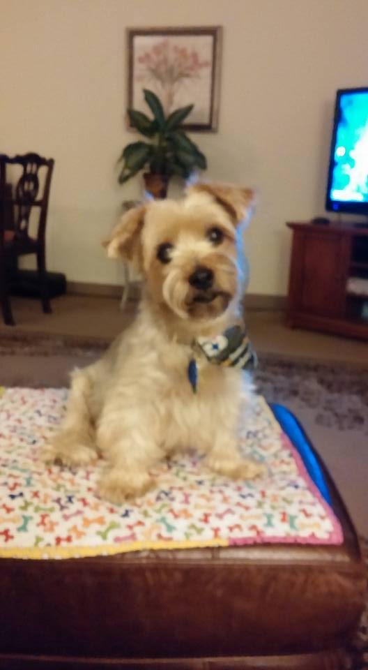 Happy National Dog Day. With my best buddy, Charlie