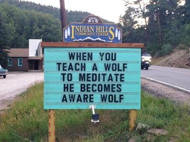 Wayne Miller's album, Timeline photos