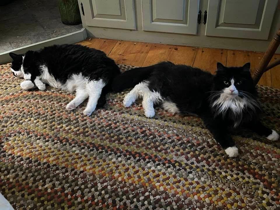 We love gramma’s rug