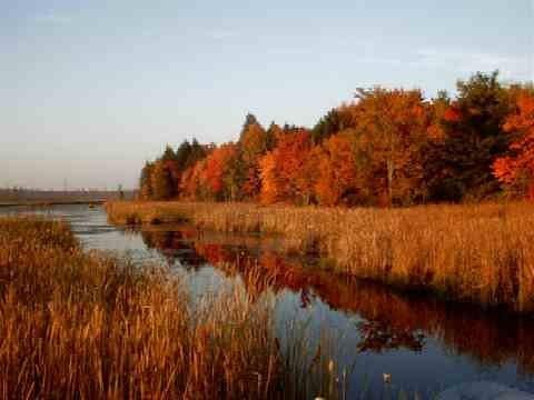 This is why visitors flock to VT in the fall....
