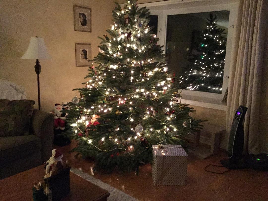 Finally Xmas tree is up ! Never been this late ever ! 🎁🎄
