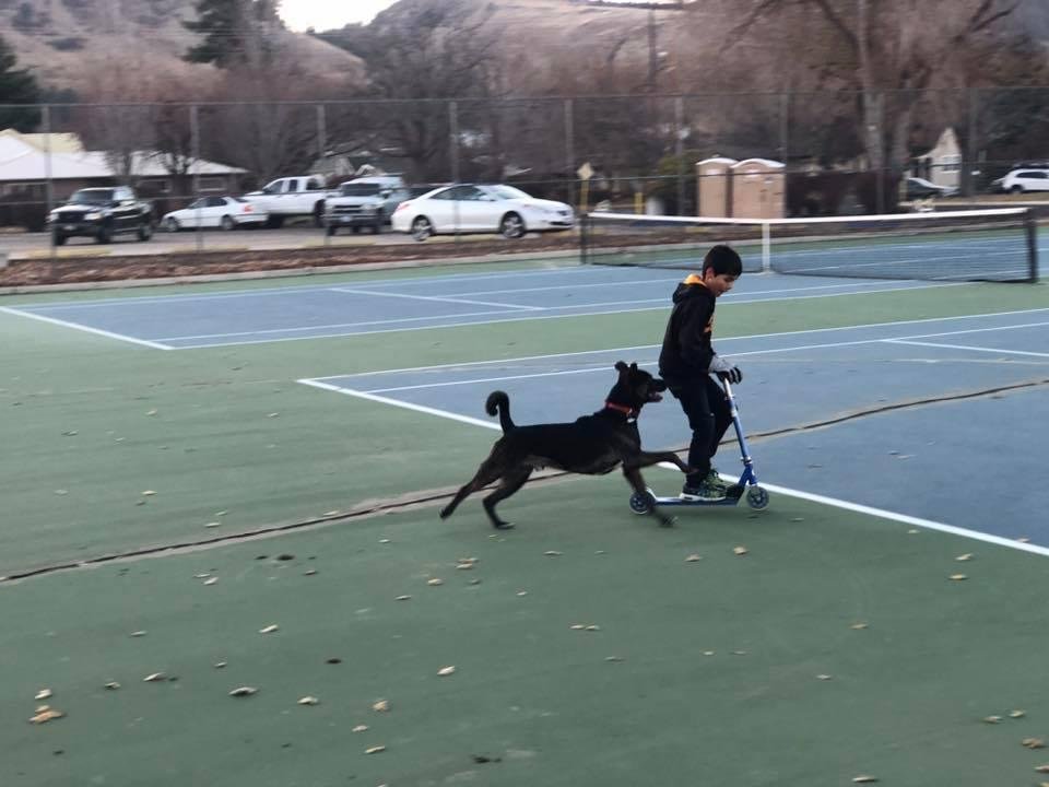 Jae and Remington playing.