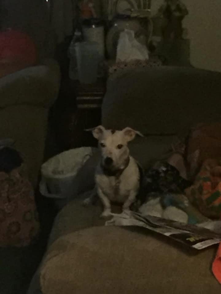 Picture of evil lol