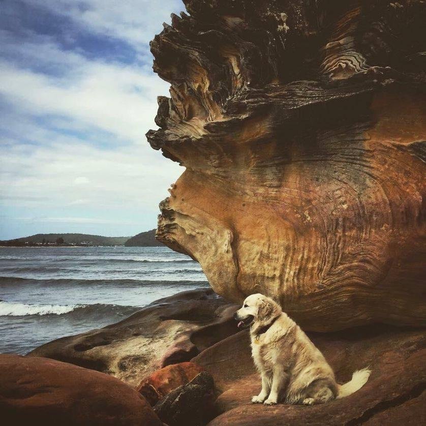 Love this, so peaceful!