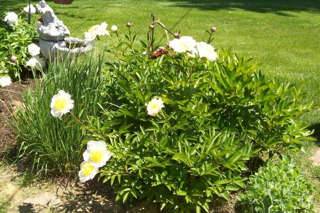 Darrell Hill's album, Timeline Photos