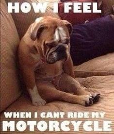 Steve Harunk's album, Timeline Photos