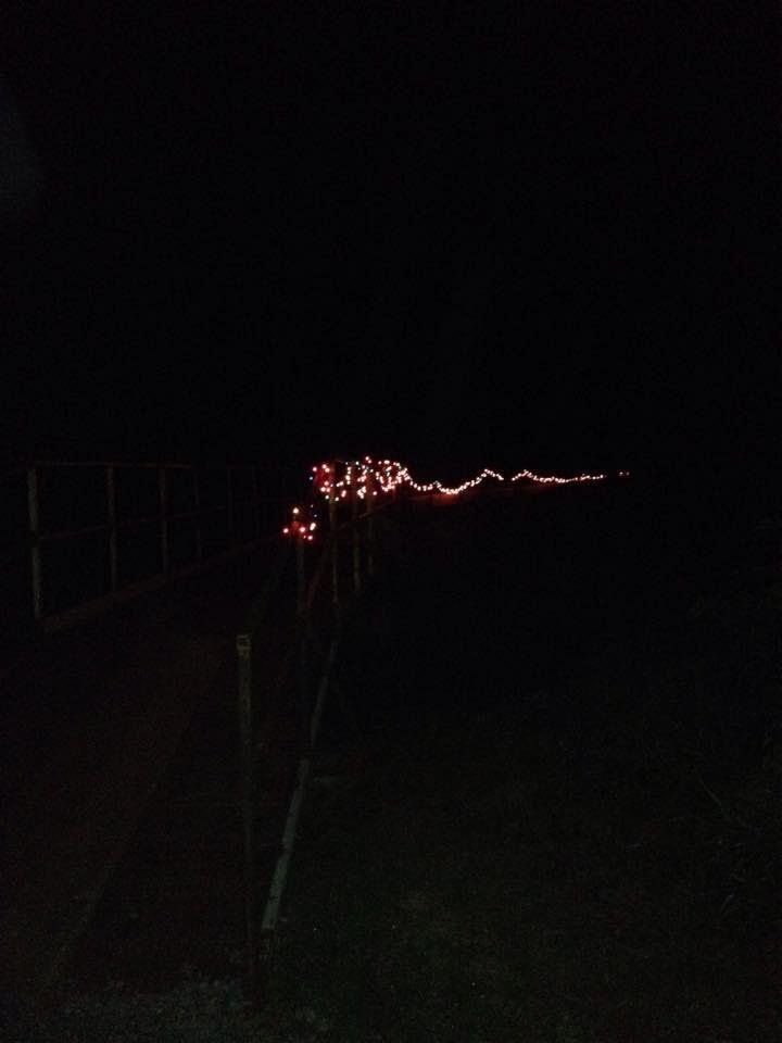 Larry E. Schneider's album, Open New Golf Cart Bridge Gnawbone Campground At July 2015