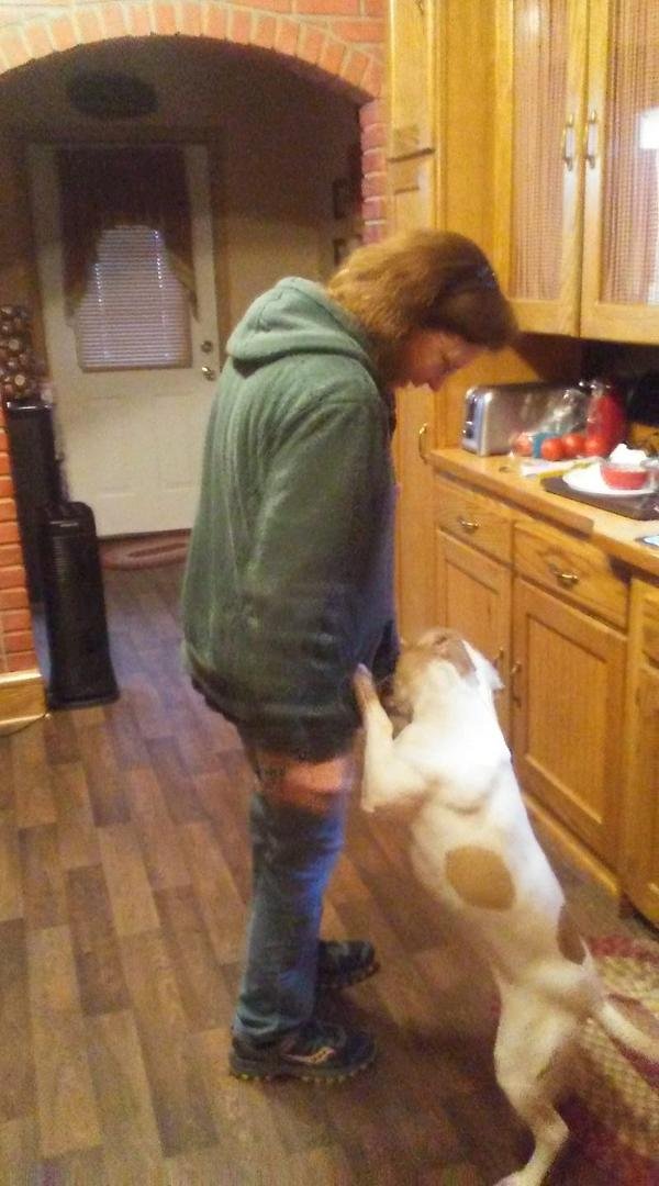 Hmmm?? My human smells like chicken .