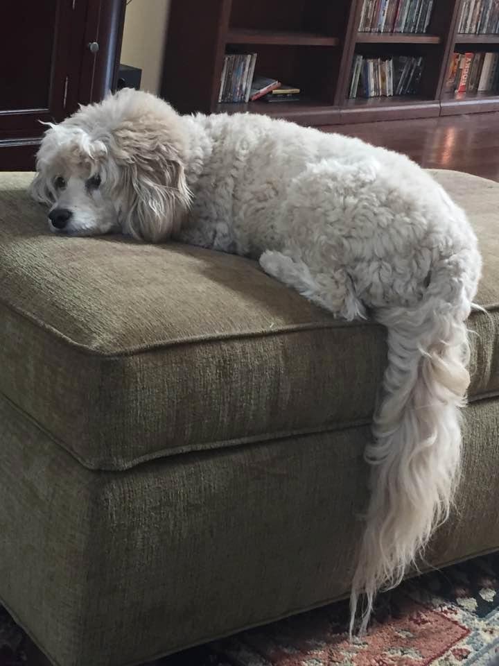 Mom I'm soooo bored.