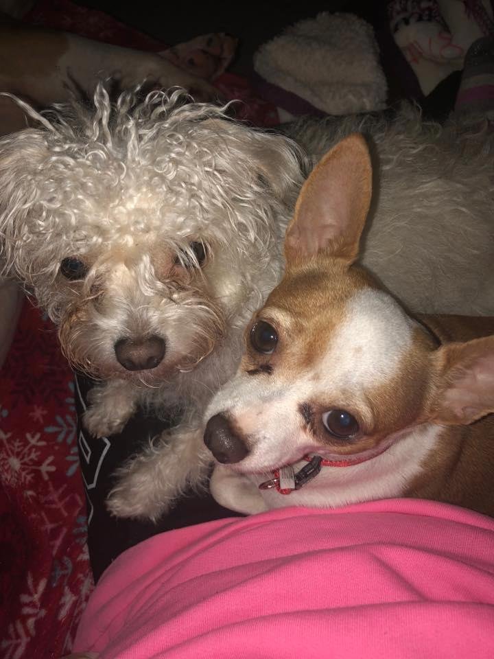 My boys