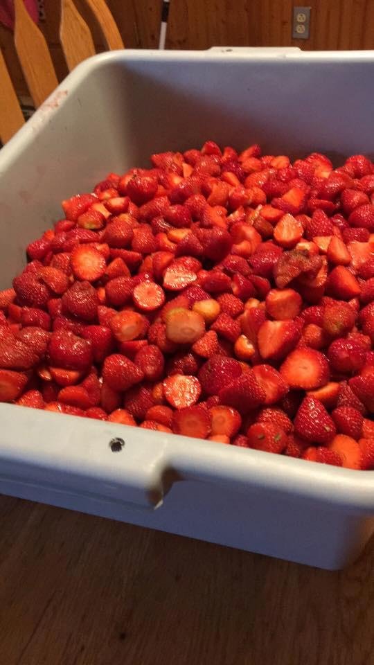 24 lbs of Strawberries