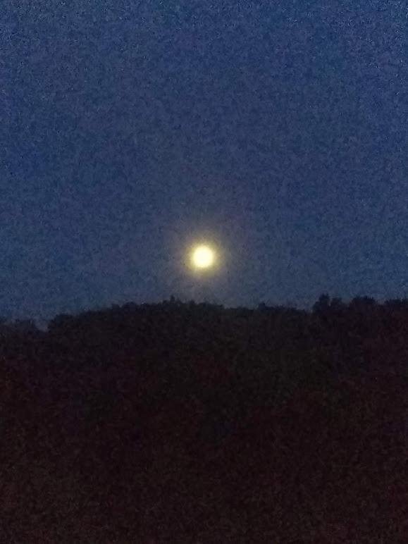 Wow! I love living in the sticks !