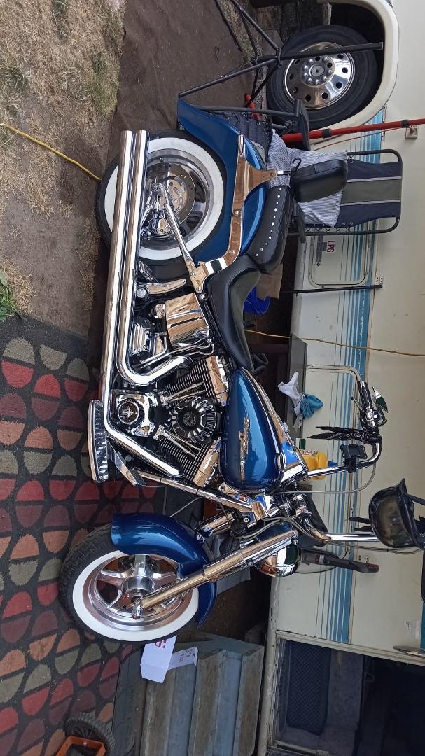 Here is a better pic,picture, me what yuall think?