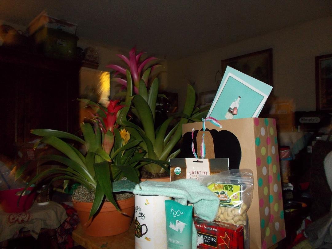 I'm really being spoiled! Gift bag from good friends, Ifthika Shine Nissar and Zinnoon Nissar, with lots of goodies and comfort items.  Beautiful Bromeliads from Charlene Robbins, Calvin William Logan Robbins and Cameron Ro