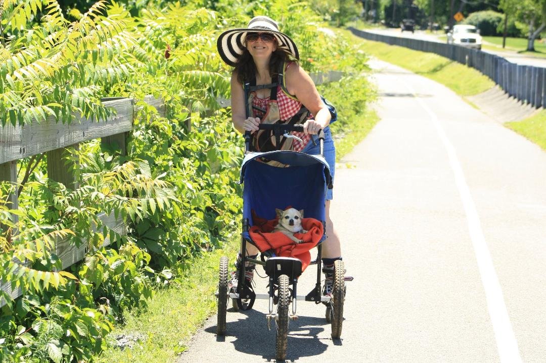 Rollerbladed at Agawam Bike path yesterday, and walked today. Here's a pic from yesterday.