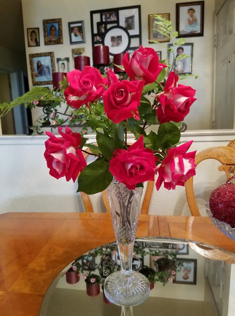 Sharing some beauty I just picked from  my yard.